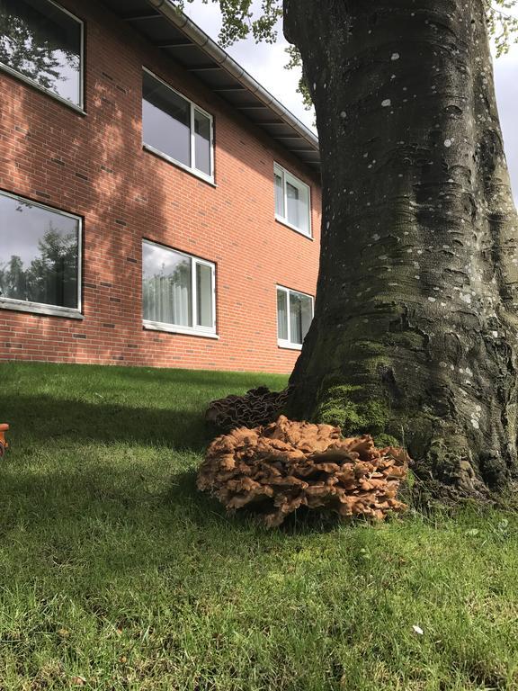 Hotel Jernbanegade Kibæk 外观 照片